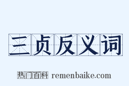 三贞反义词是什么意思的图片